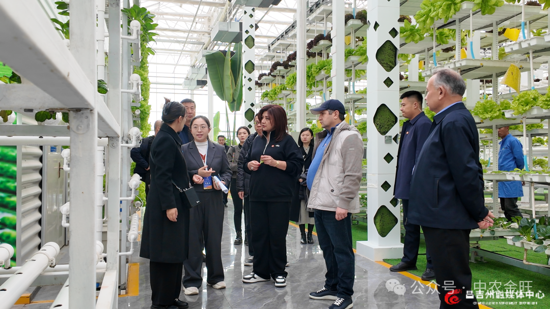 1762756368419113.png 1762756368419113.png