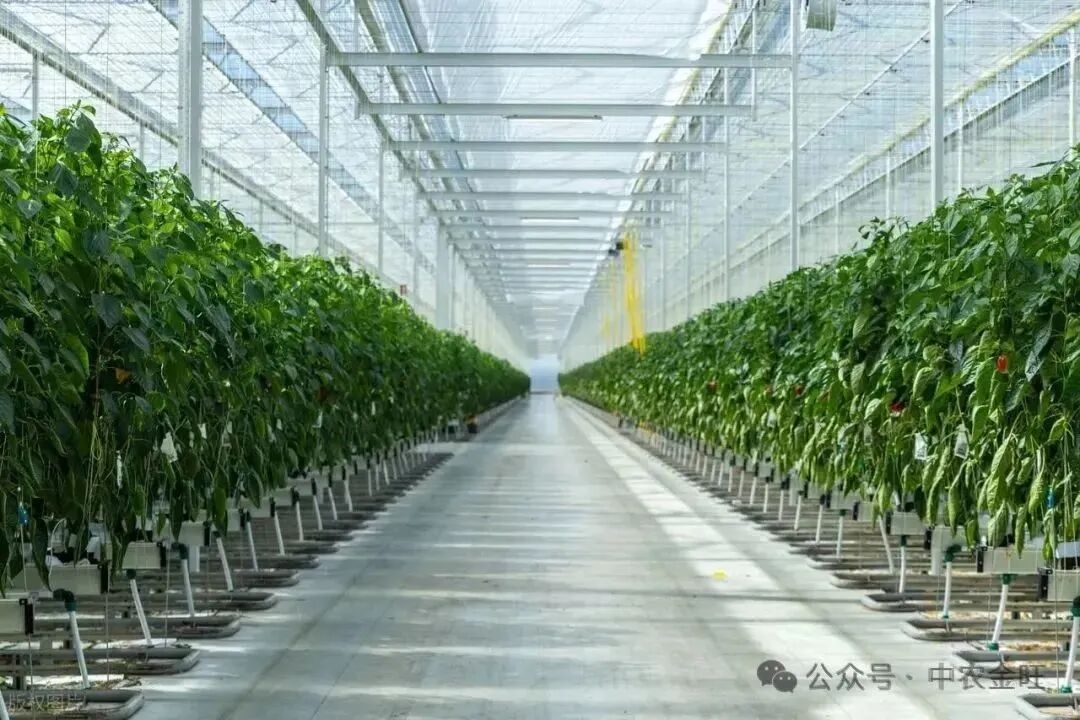 1762757082166851.jpg 1762757082166851.jpg