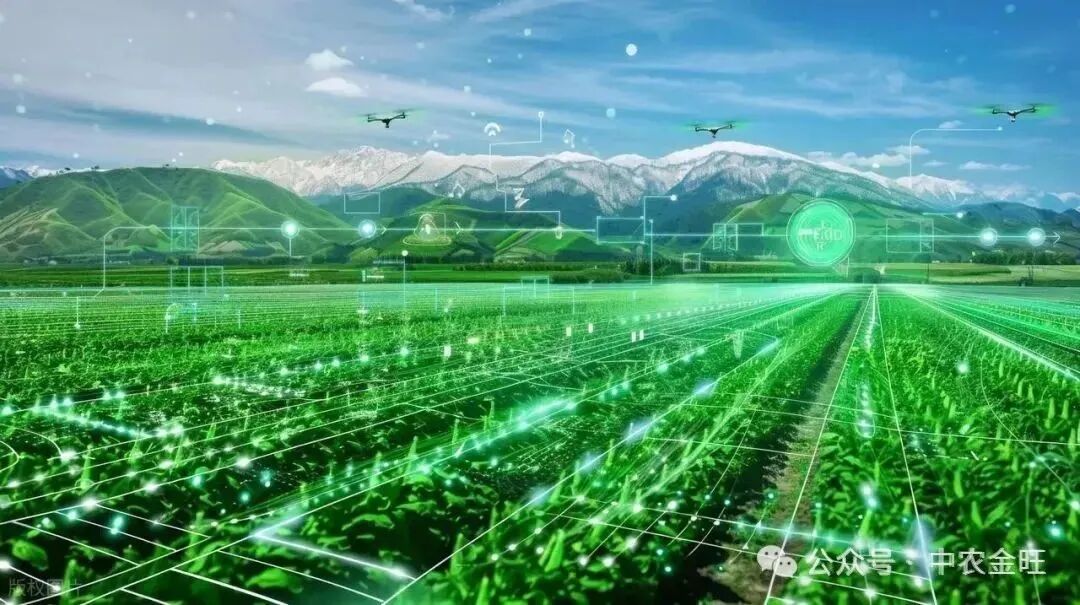 1762757105848242.jpg 1762757105848242.jpg