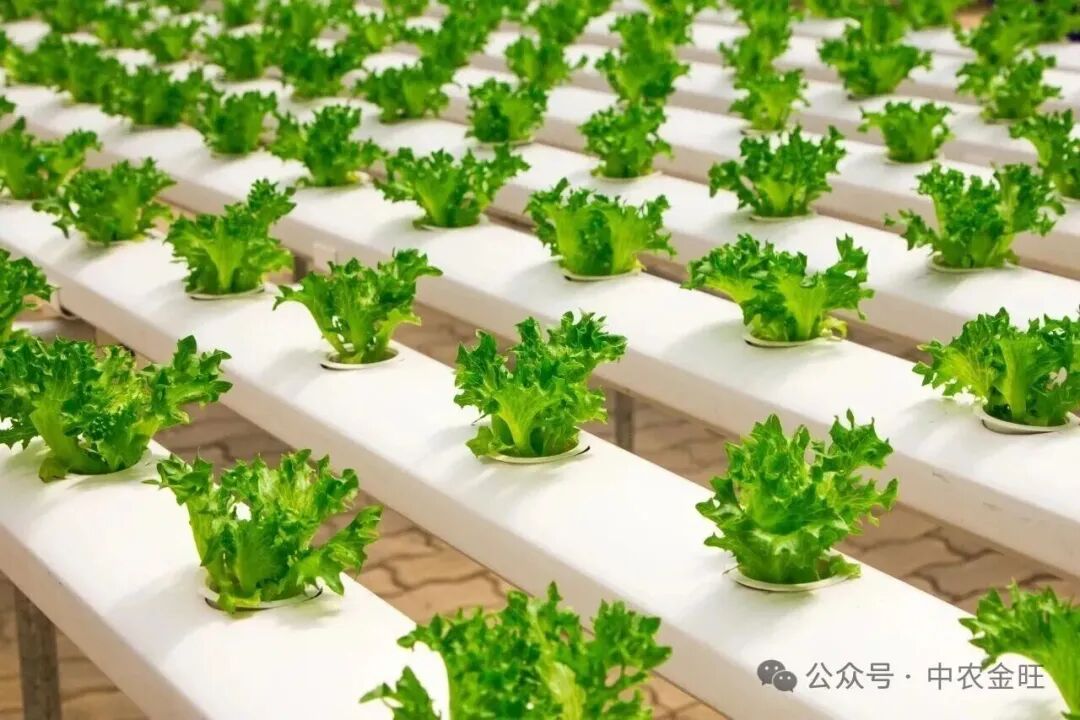 1762757216988281.jpg 1762757216988281.jpg