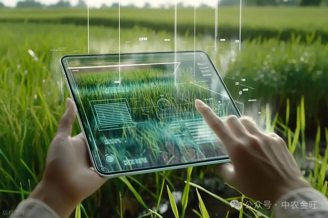 1765526521952207.jpg 1765526521952207.jpg