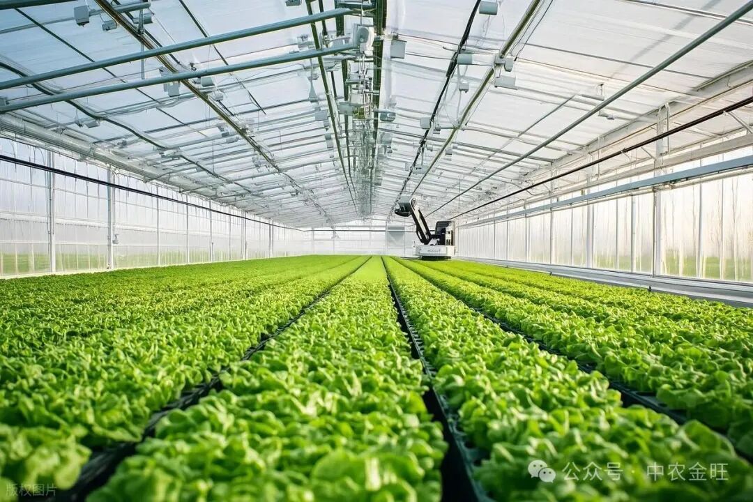 1765526645919765.jpg 1765526645919765.jpg