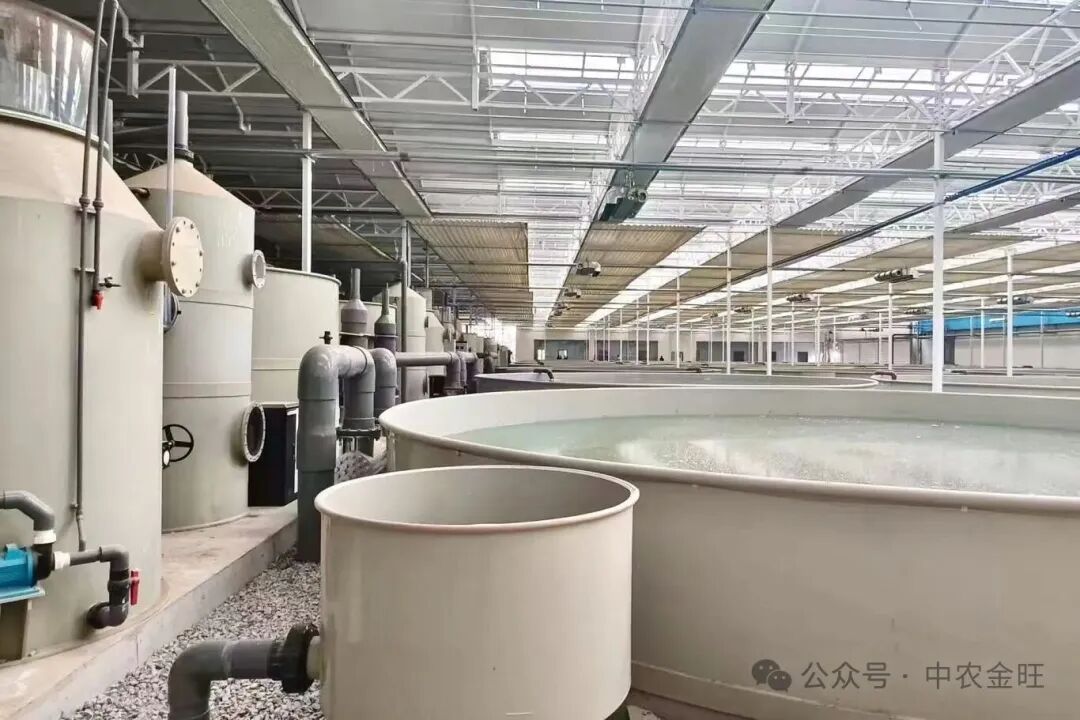 1765526704304327.jpg 1765526704304327.jpg