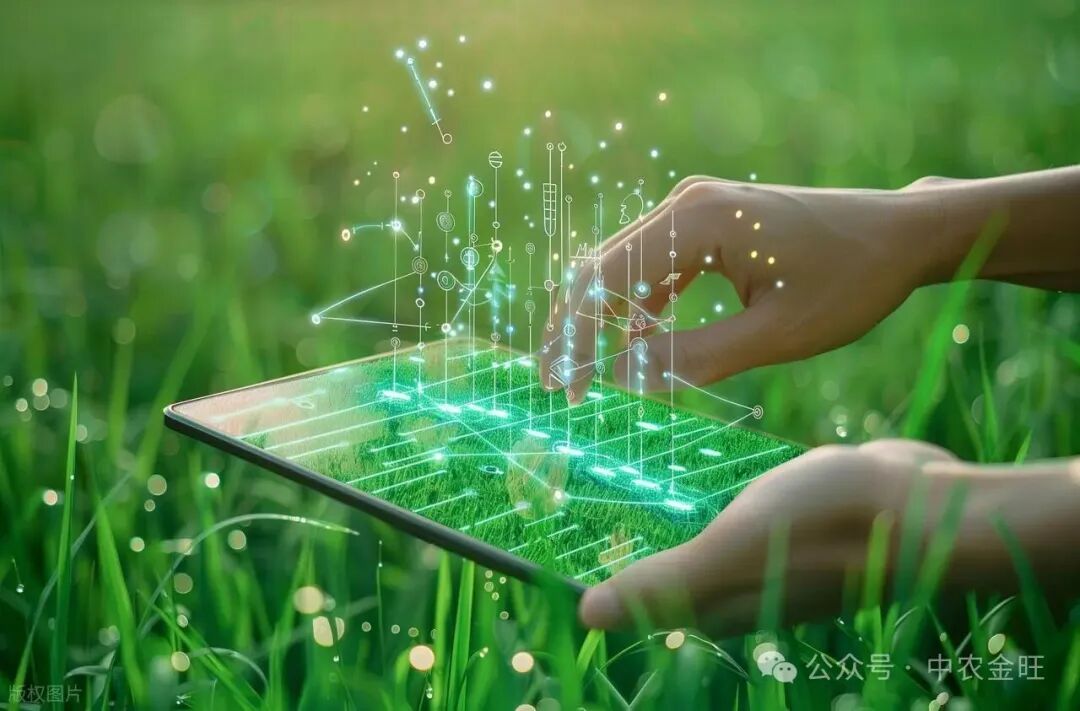 1765526748585490.jpg 1765526748585490.jpg