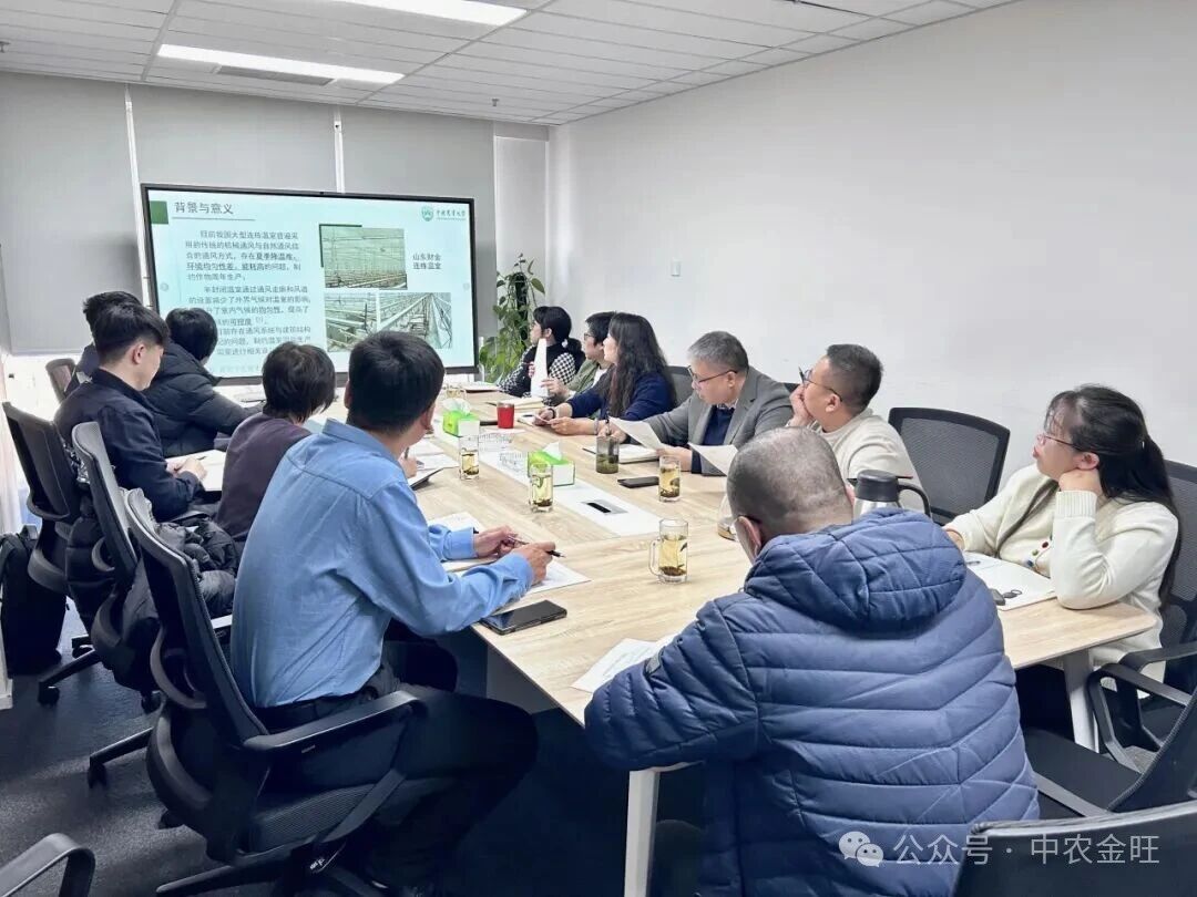 1767081804305434.jpg 1767081804305434.jpg